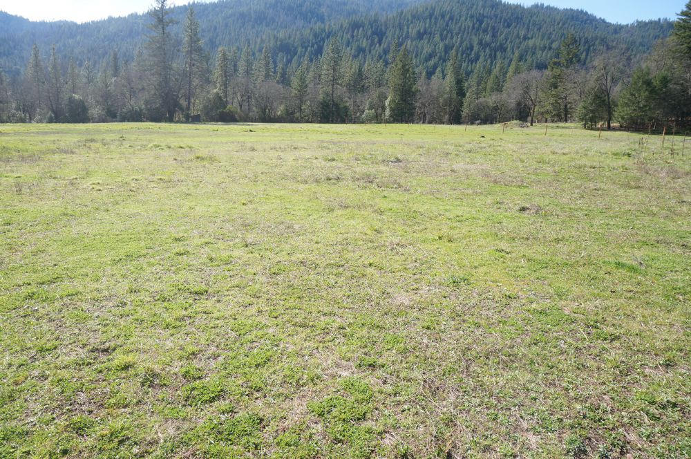 520 Senger Road Junction City, CA 96048 - Photo 23 of 24 Open Land