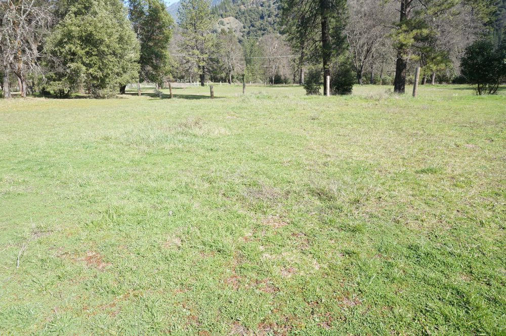 520 Senger Road Junction City, CA 96048 - Photo 24 of 24 Open Land
