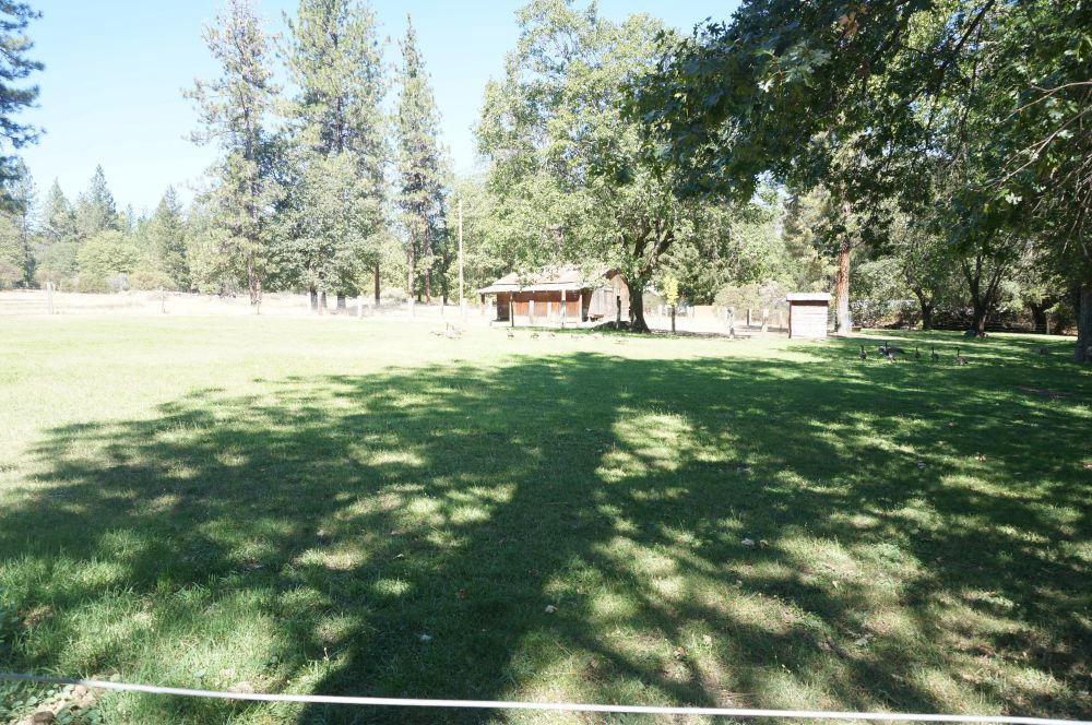520 Senger Road Junction City, CA 96048 - Photo 5 of 24 Barn