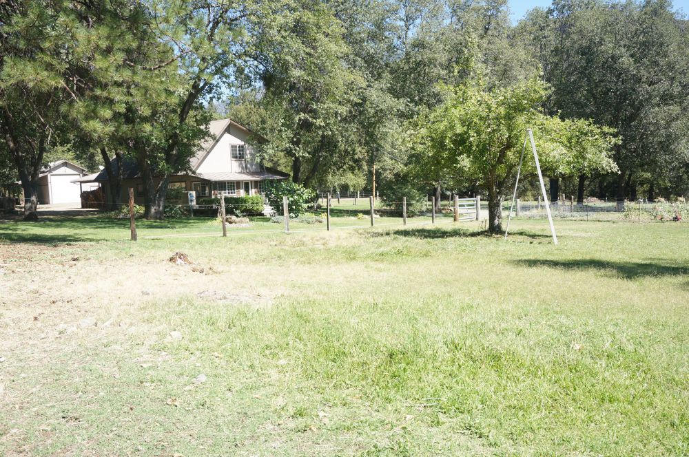 520 Senger Road Junction City, CA 96048 - Photo 7 of 24 Fruit Trees
