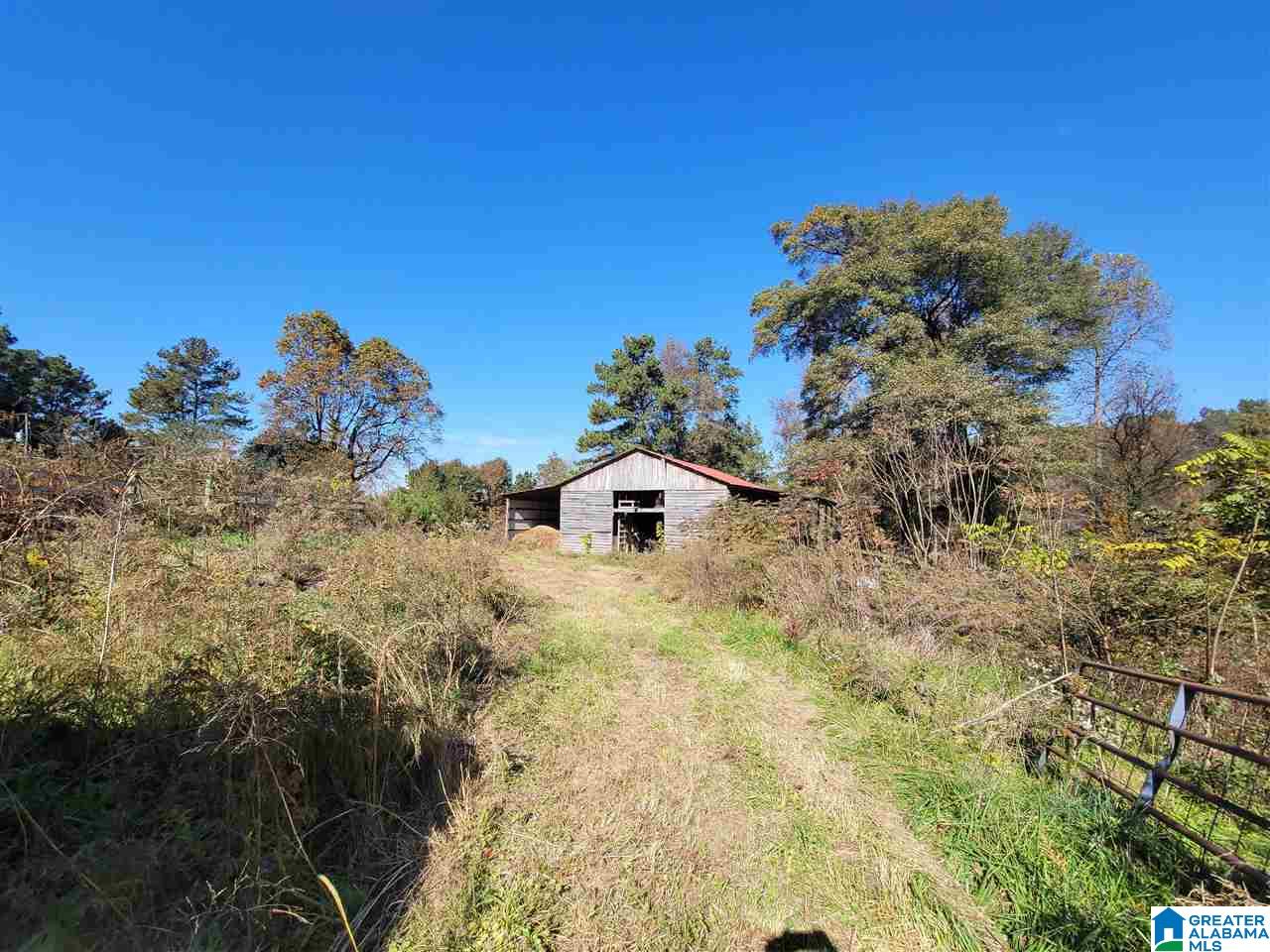 41 Gip Yates Road Blountsville, AL 35031 - Photo 2 of 5