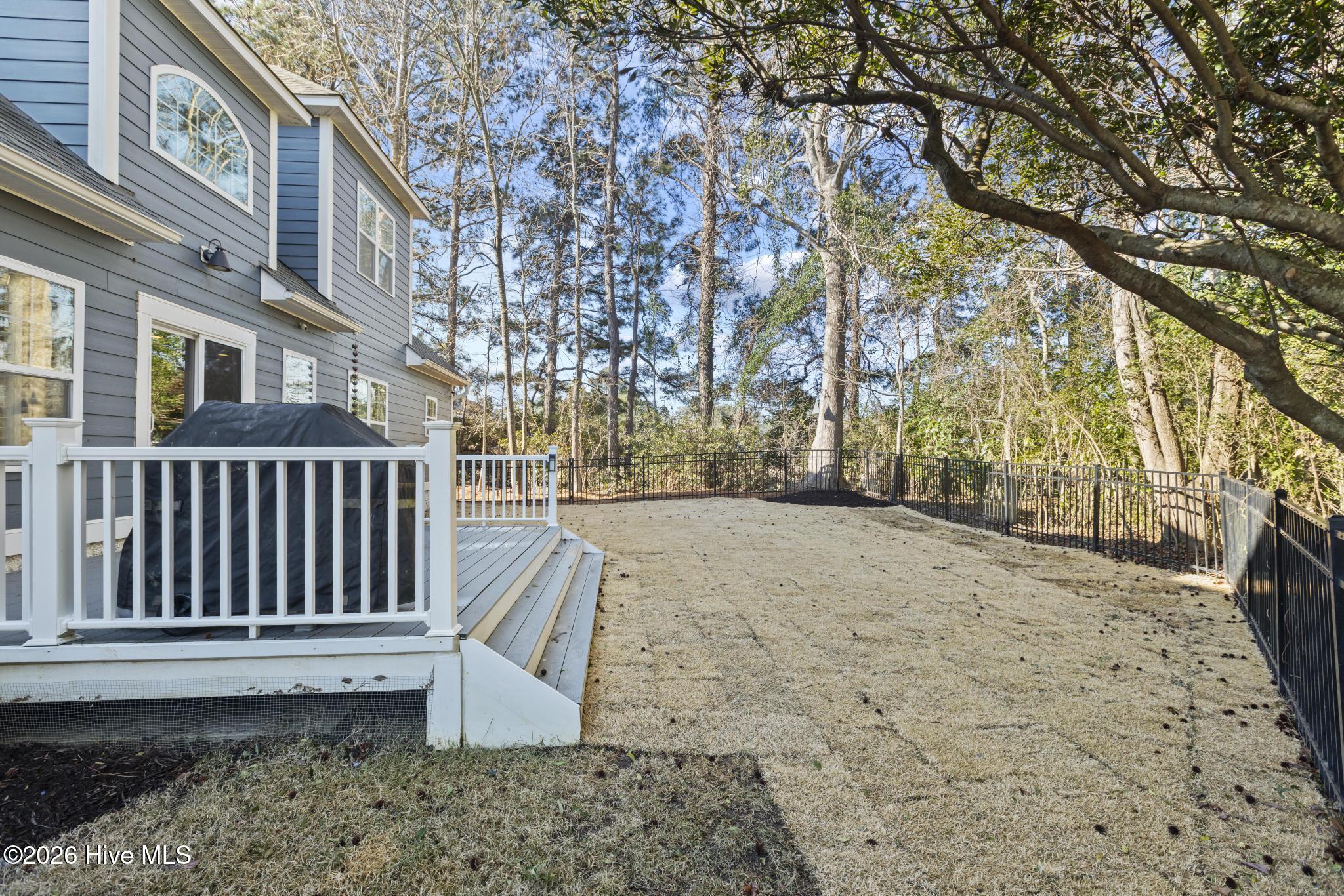 378 Aster Place Hampstead, NC 28443 - Photo 49 of 64 Backyard