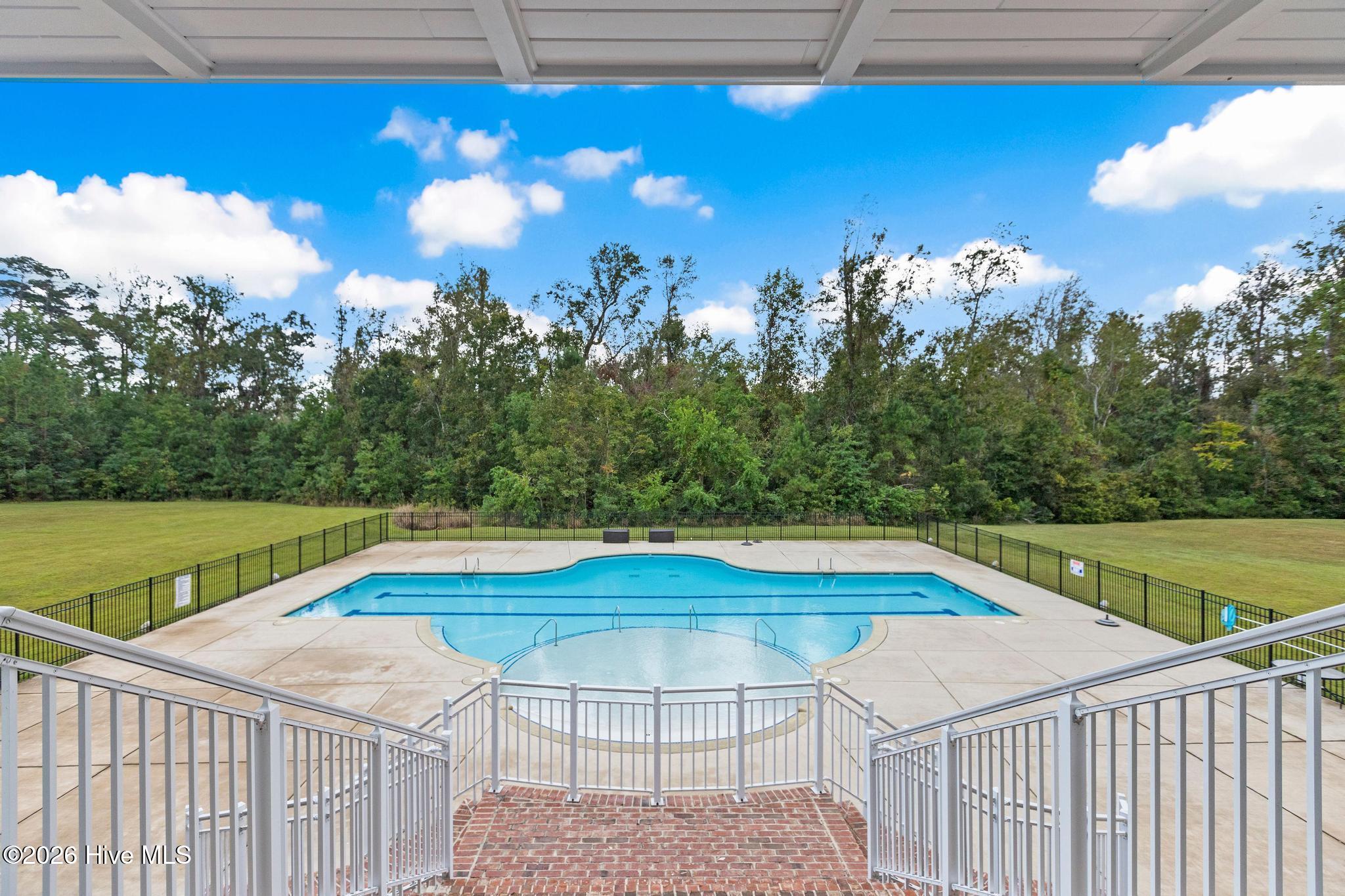 378 Aster Place Hampstead, NC 28443 - Photo 59 of 64 Pool