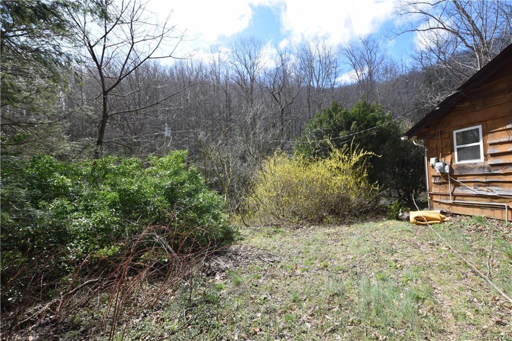 599 Long Branch Road Swannanoa, NC 28778 - Photo 3 of 38 Gallery Image 3