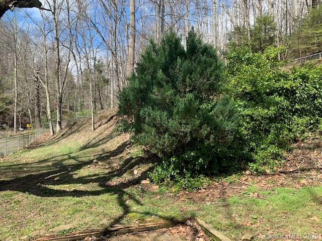 599 Long Branch Road Swannanoa, NC 28778 - Photo 23 of 38 Gallery Image 23