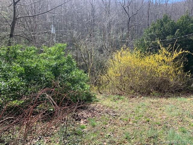 599 Long Branch Road Swannanoa, NC 28778 - Photo 26 of 38 Gallery Image 26