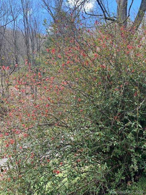 599 Long Branch Road Swannanoa, NC 28778 - Photo 28 of 38 Gallery Image 28