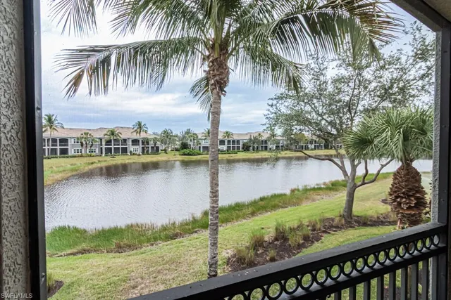 a view of a lake with a palm tree