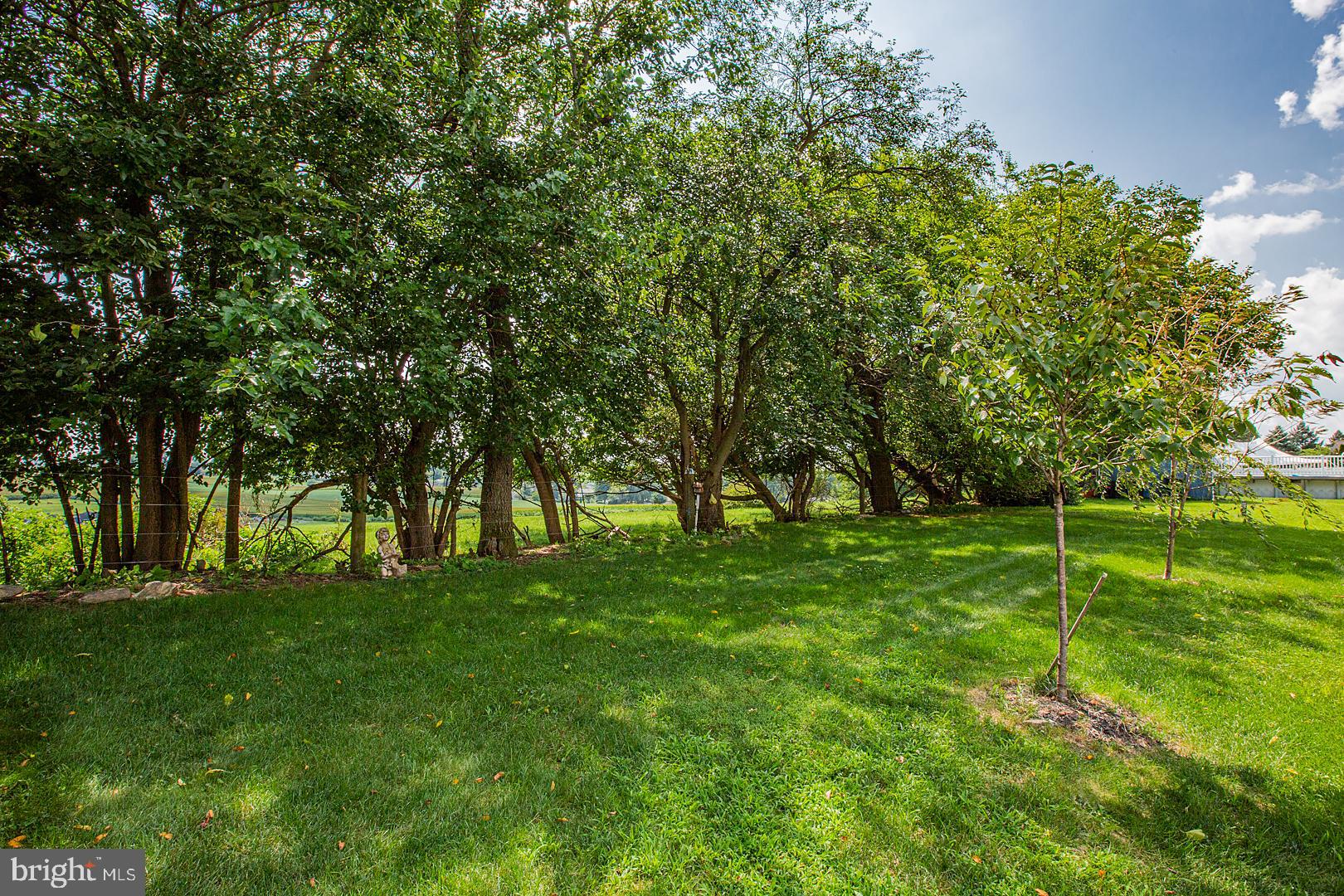 301 Raspberry Road Leola, PA 17540 - Photo 52 of 59 Privacy w line of trees along the borderof farm