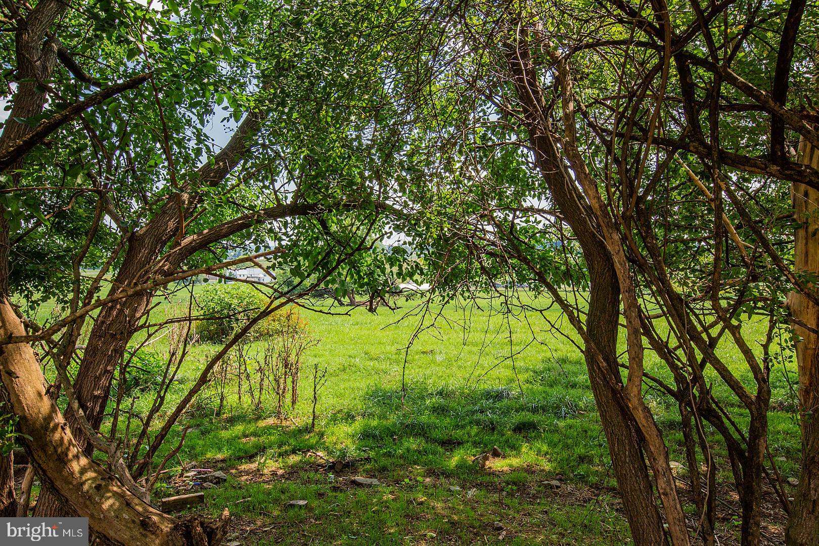 301 Raspberry Road Leola, PA 17540 - Photo 53 of 59 23 of an acre lot FLAT in back yard easy care
