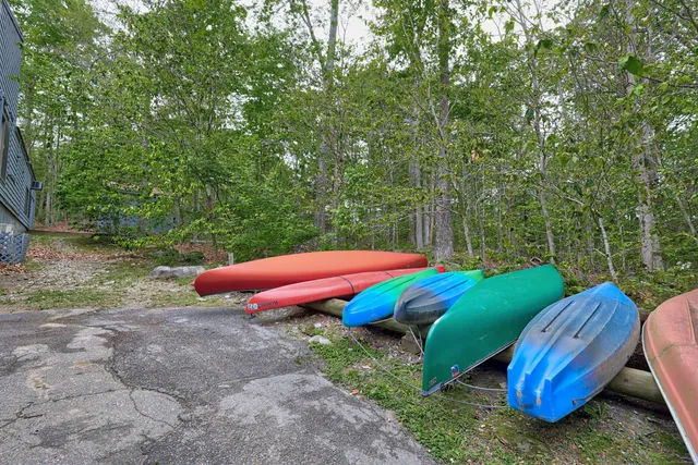 a view of a lake with a tree