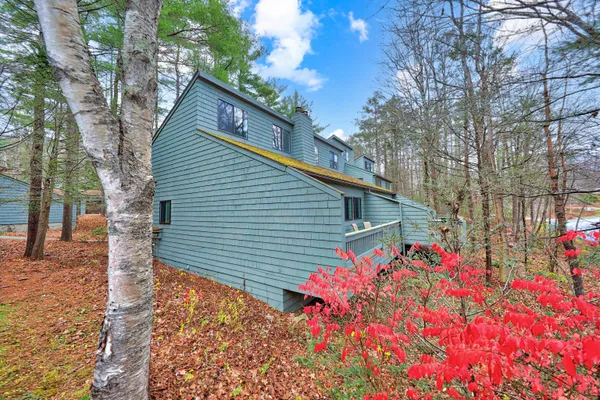 a backyard of a house with flower plants