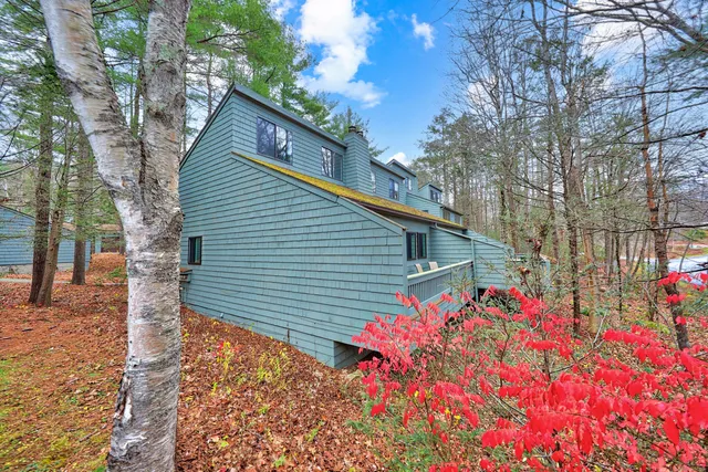 a backyard of a house with flower plants
