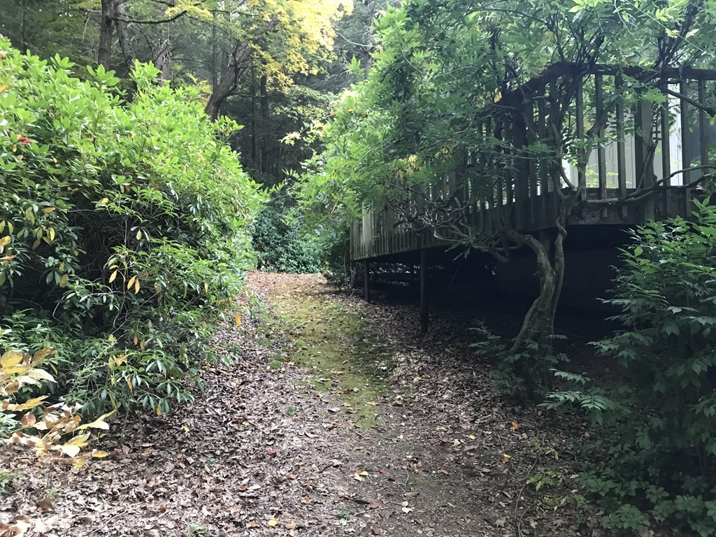 662 Pratt Corner Road Shutesbury, MA 01002 - Photo 5 of 30