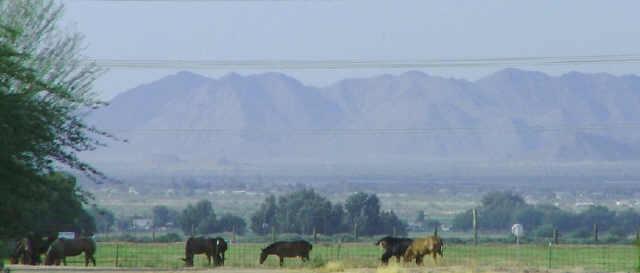 19750 West Dunlap Road Buckeye, AZ 85326 - Photo 1 of 4 Primary Photo