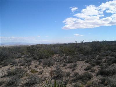0 Nino Road Cochise, AZ 85606 - Photo 3 of 3