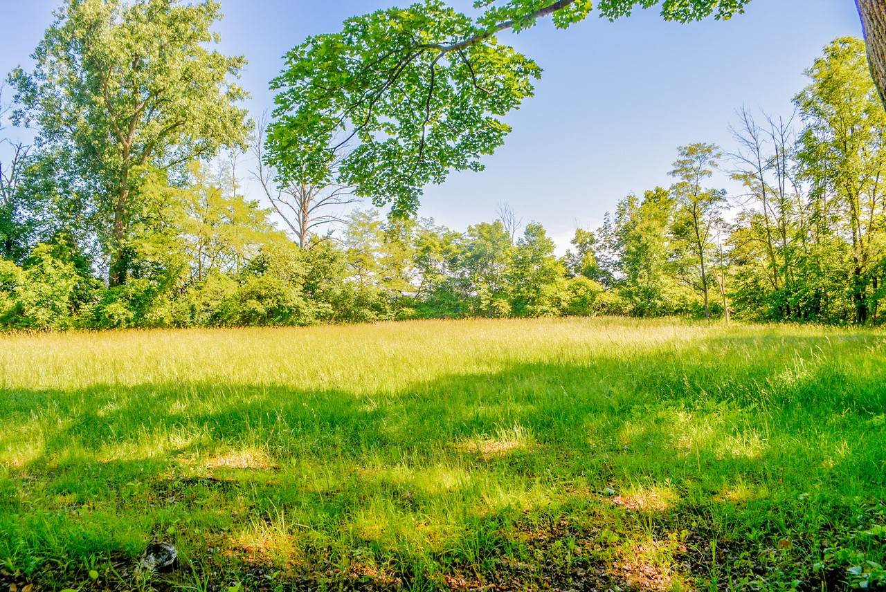 14834 Tonkel Road Leo, IN 46765 - Photo 7 of 19