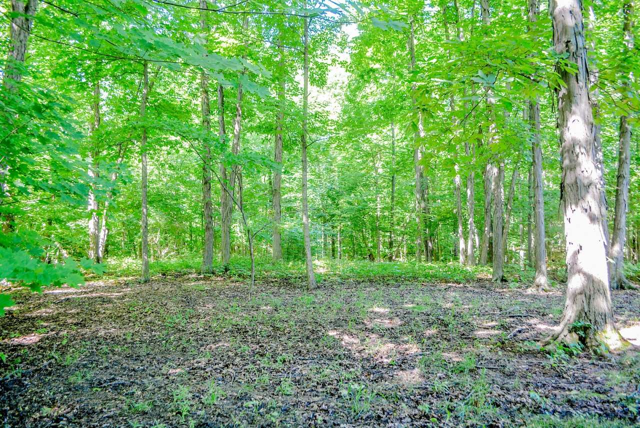 14834 Tonkel Road Leo, IN 46765 - Photo 10 of 19