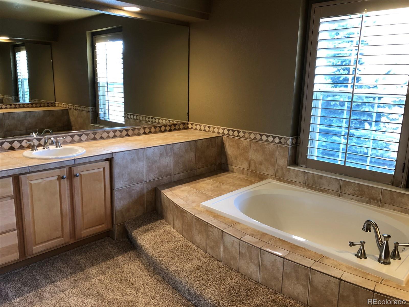 10161 Rustic Redwood Way Highlands Ranch, CO 80126 - Photo 12 of 22 Gallery Image 12