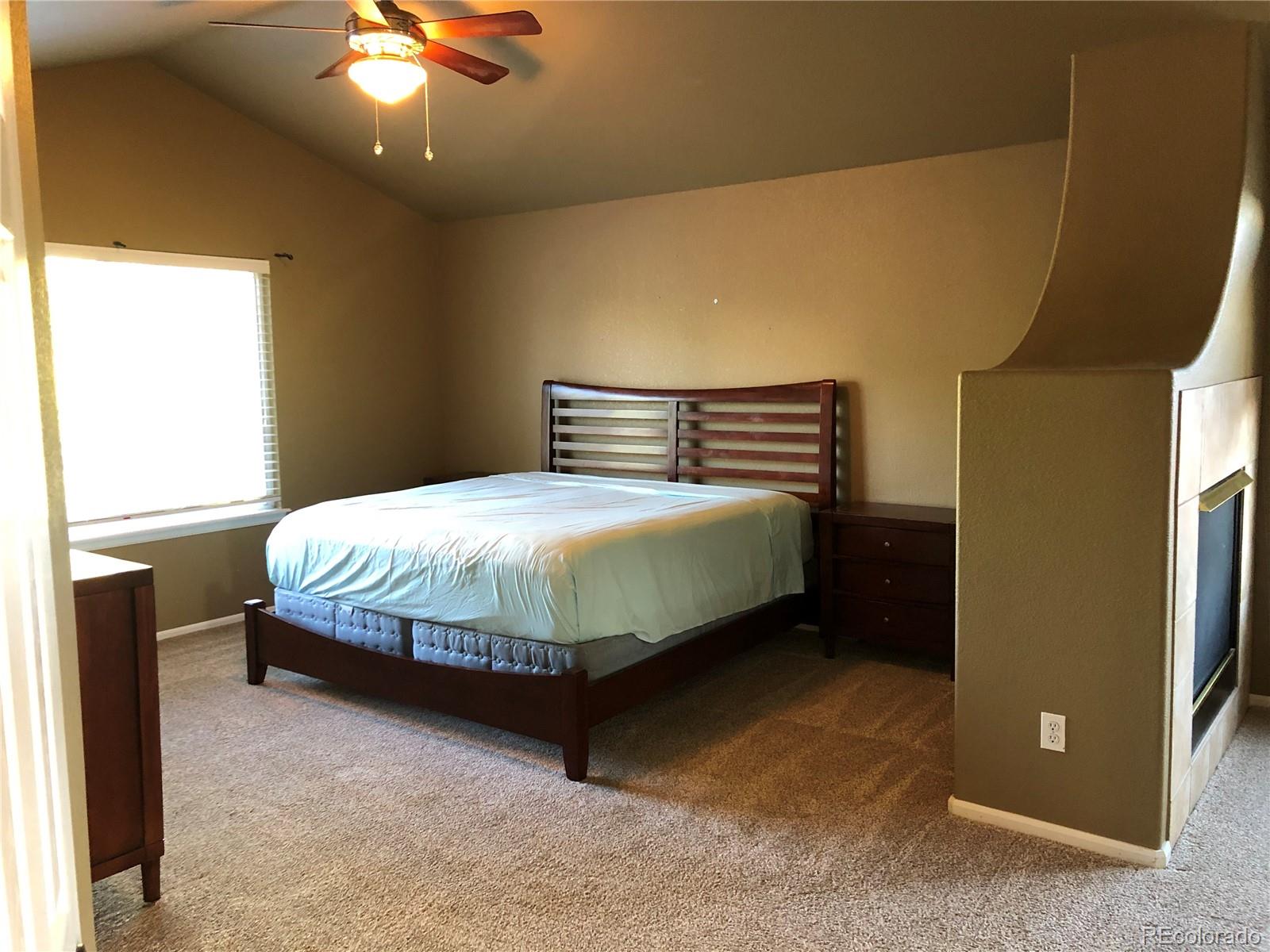 10161 Rustic Redwood Way Highlands Ranch, CO 80126 - Photo 10 of 22 Gallery Image 10