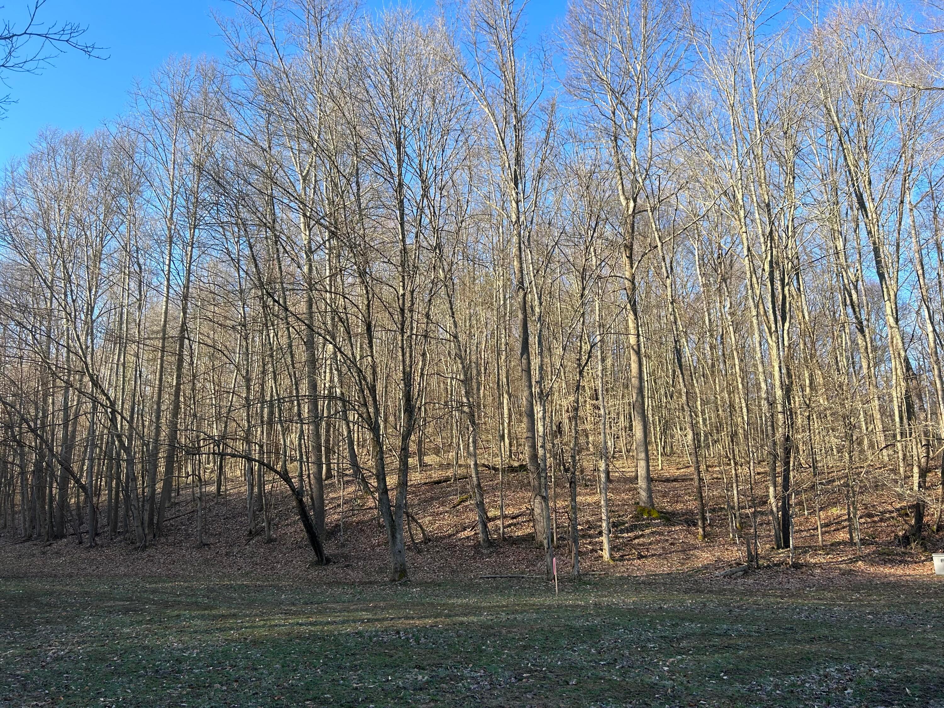0 Hansley Road Southeast Sugar Grove, OH 43155 - Photo 25 of 27 E33639A3-A8E9-4959-B88C-D1053CBEE8DE