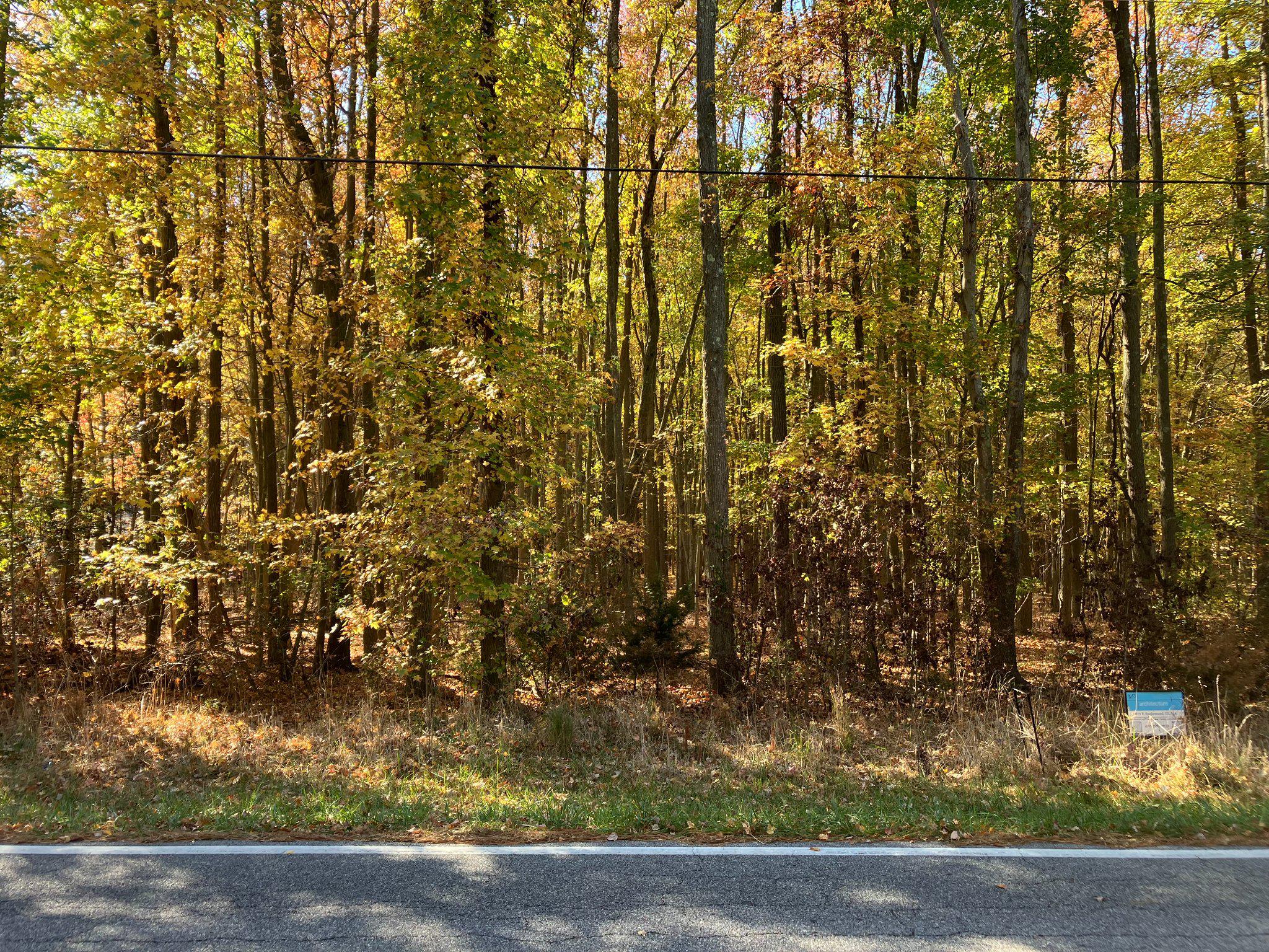 Beautiful wooded 1.64 ac lot near Rock Hall.