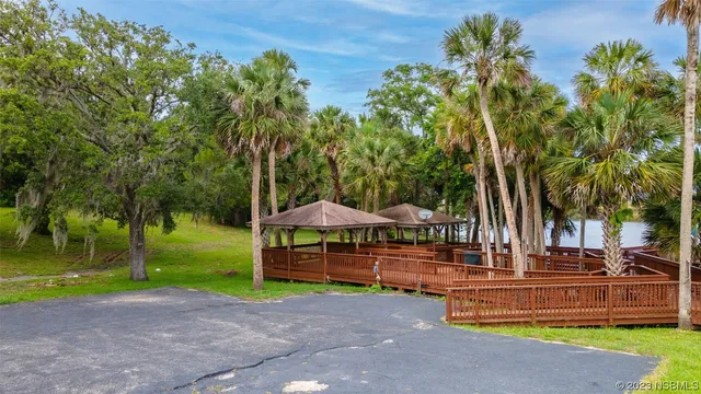 a view of a park with large trees