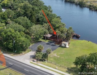 1003-1005 Highway 1 Ormond Beach, FL 32174 - Photo 8 of 52 a view of a yard with plants