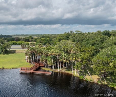 1003-1005 Highway 1 Ormond Beach, FL 32174 - Photo 9 of 52 a view of a lake with a city
