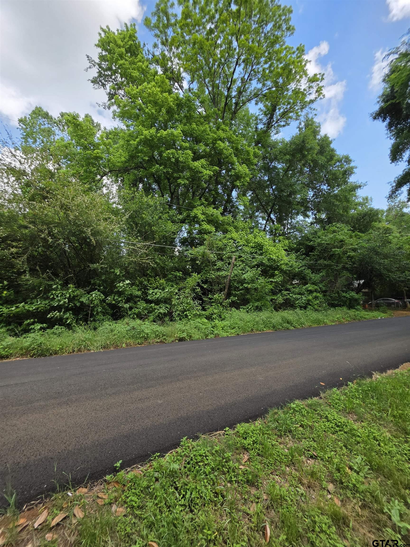 316 North Hospital Street Rusk, TX 75785 - Photo 4 of 21 a backyard of a house with lots of green space and trees