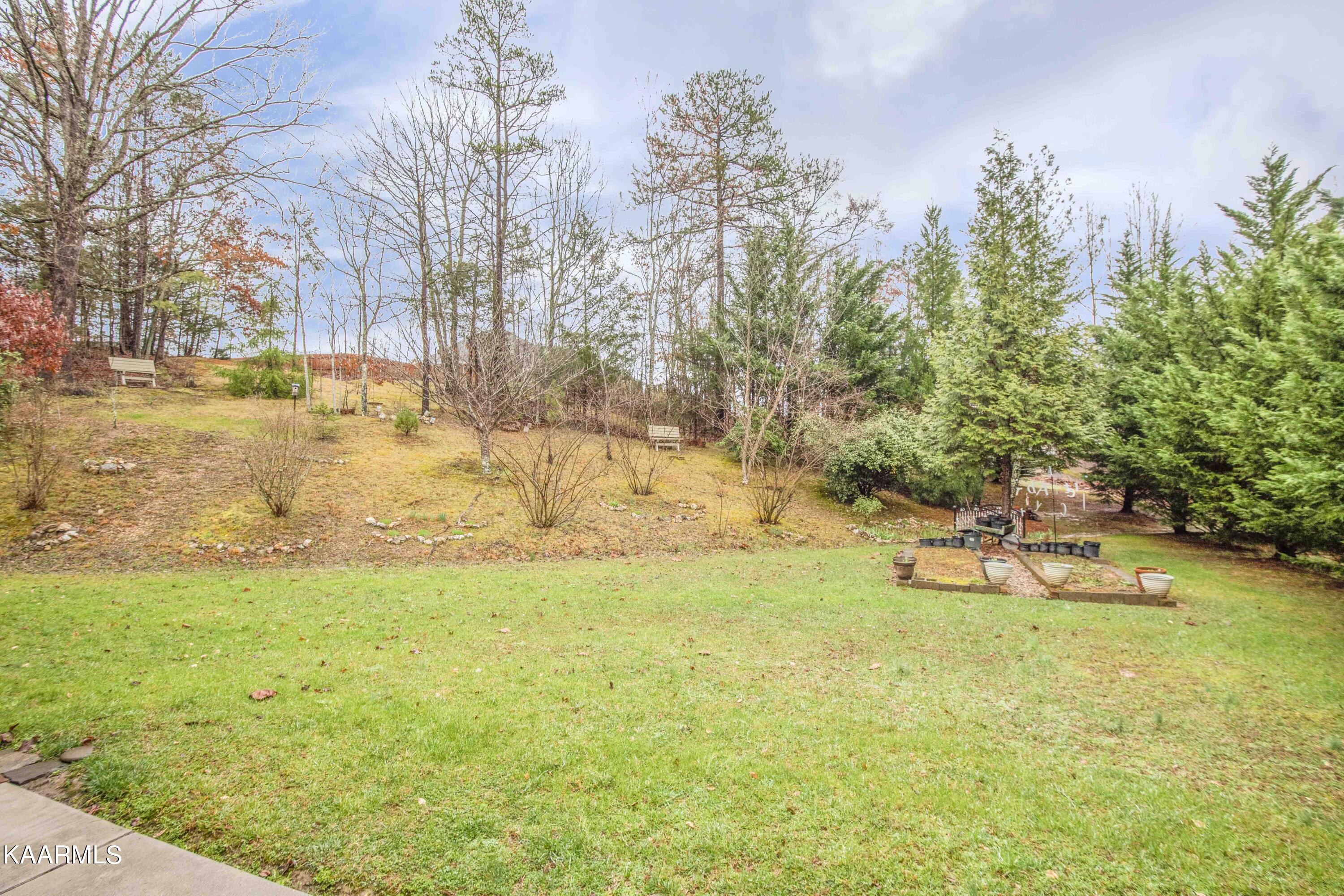 1112 Fox Ridge Drive Powell, TN 37849 - Photo 29 of 36 Backyard - 3