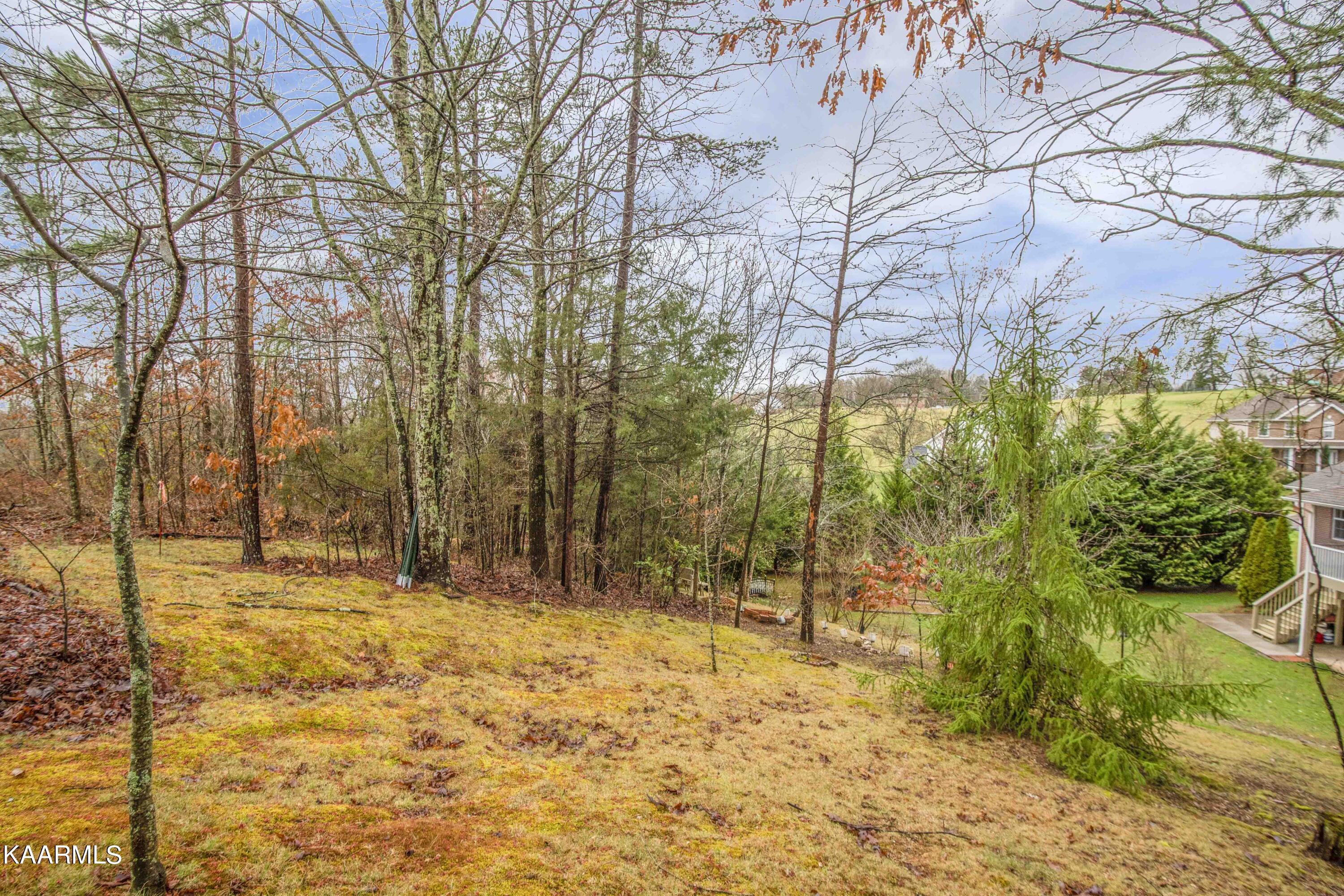 1112 Fox Ridge Drive Powell, TN 37849 - Photo 30 of 36 Backyard - 4