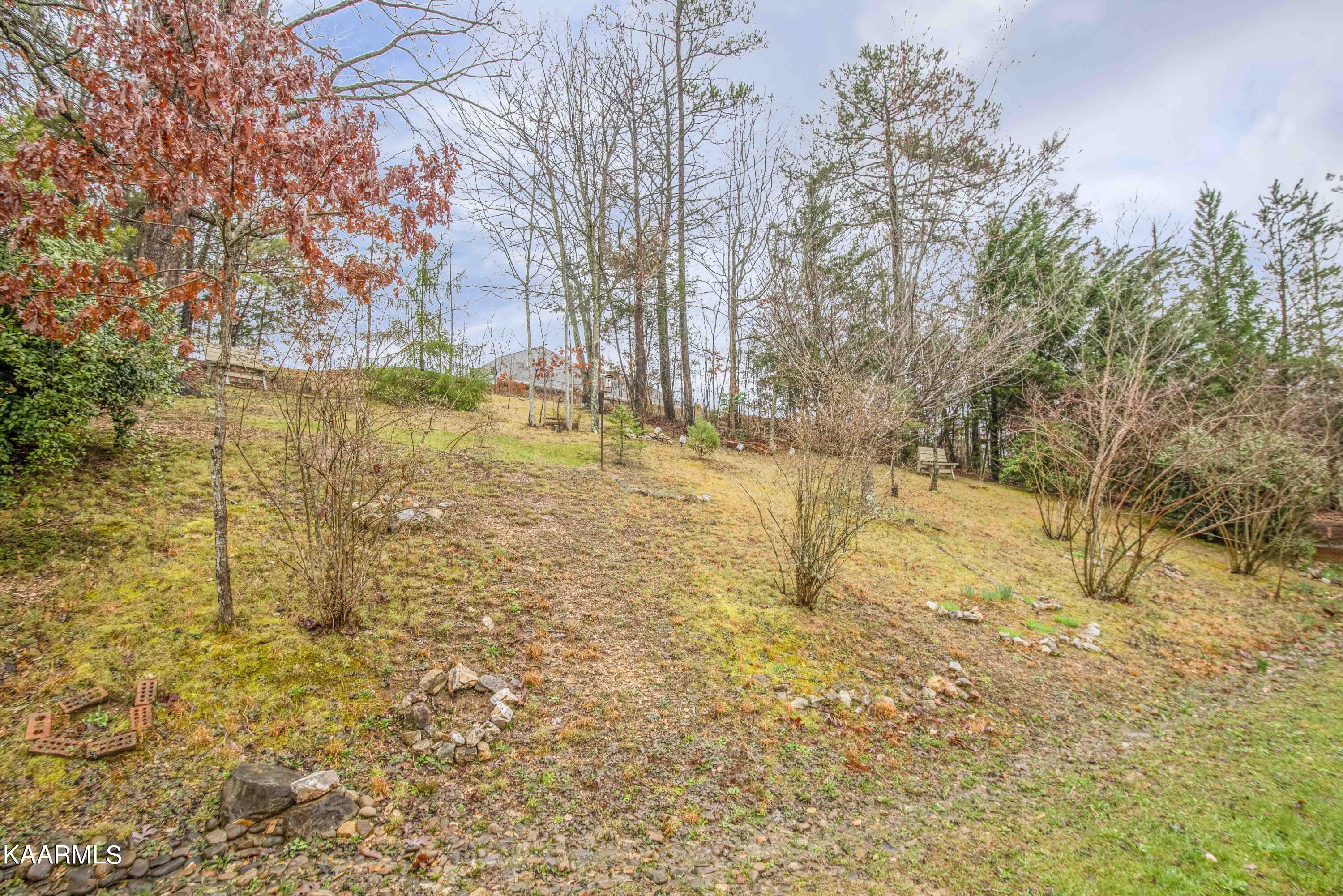 1112 Fox Ridge Drive Powell, TN 37849 - Photo 35 of 36 Backyard - 9