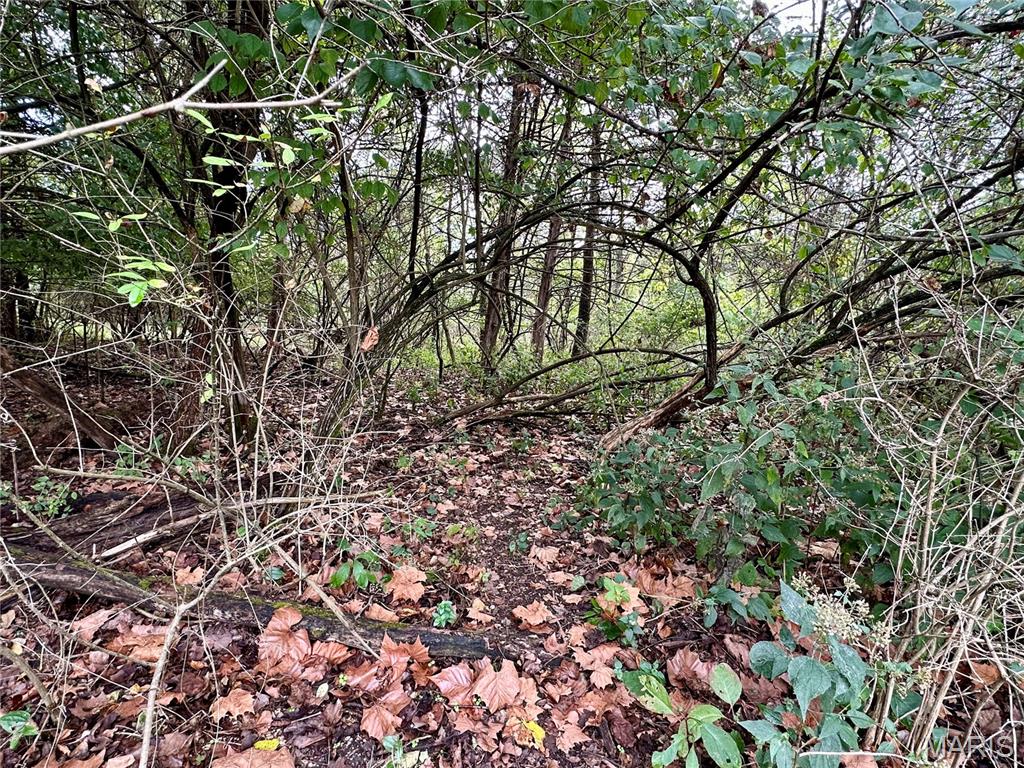 Tbd Shady Lane Rolla, MO 65401 - Photo 4 of 4