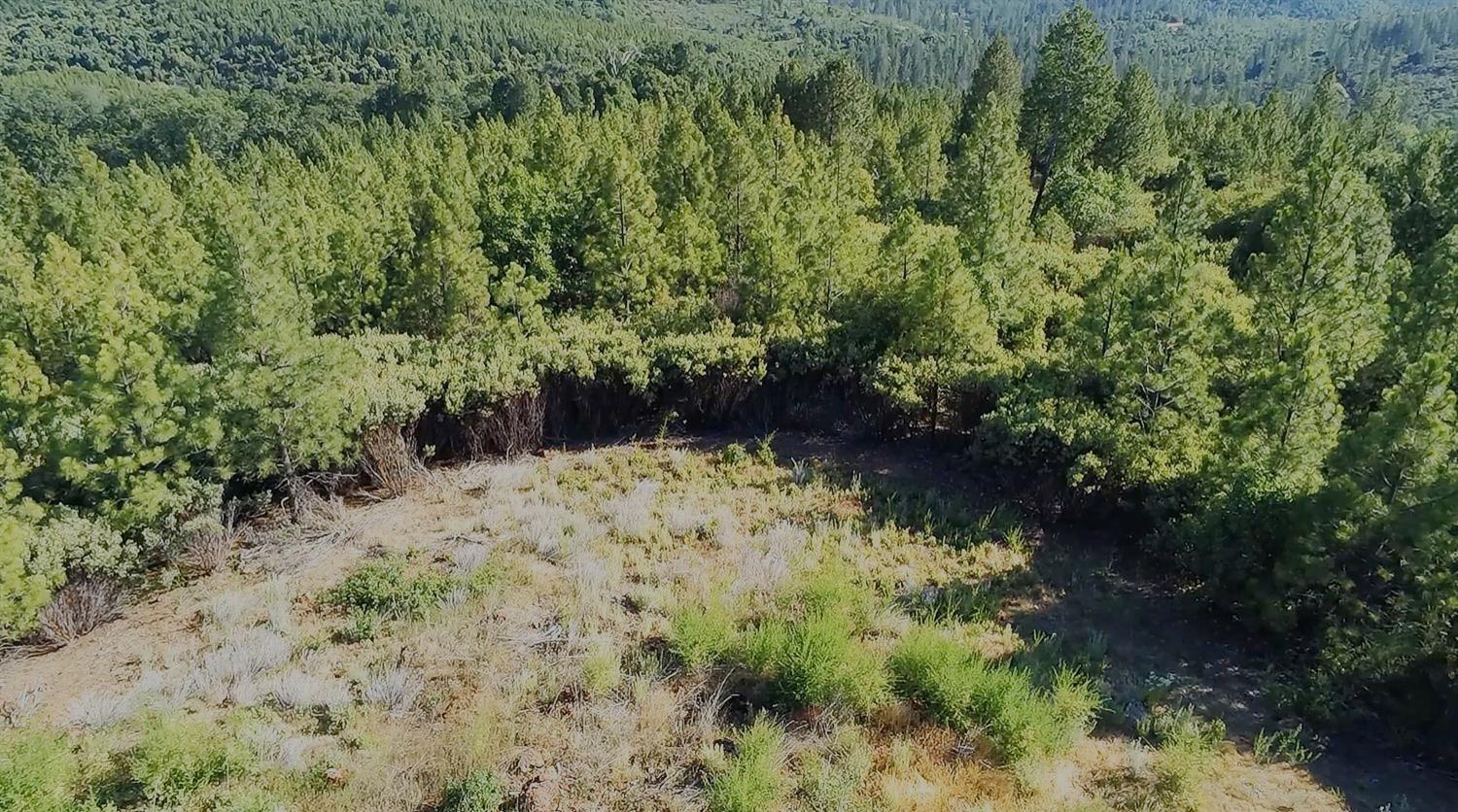 16397 Indiana Ranch Road Dobbins, CA 95935 - Photo 63 of 72