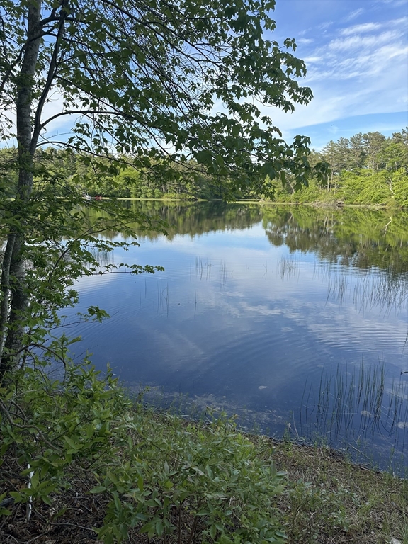 320 Little Sandy Pond Road Plymouth, MA 02360 - Photo 4 of 24