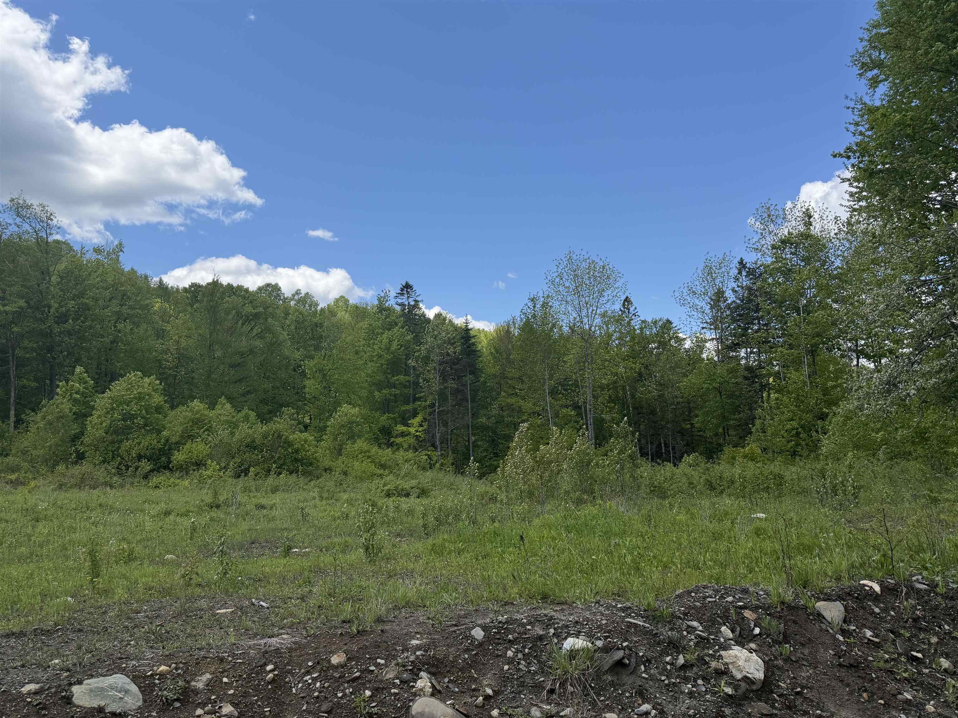 6885 Kirby Mountain Road Kirby, VT 05851 - Photo 50 of 51