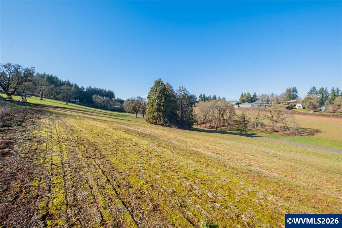 8216 Enchanted Ridge Court Southeast Turner, OR 97392 - Photo 12 of 18