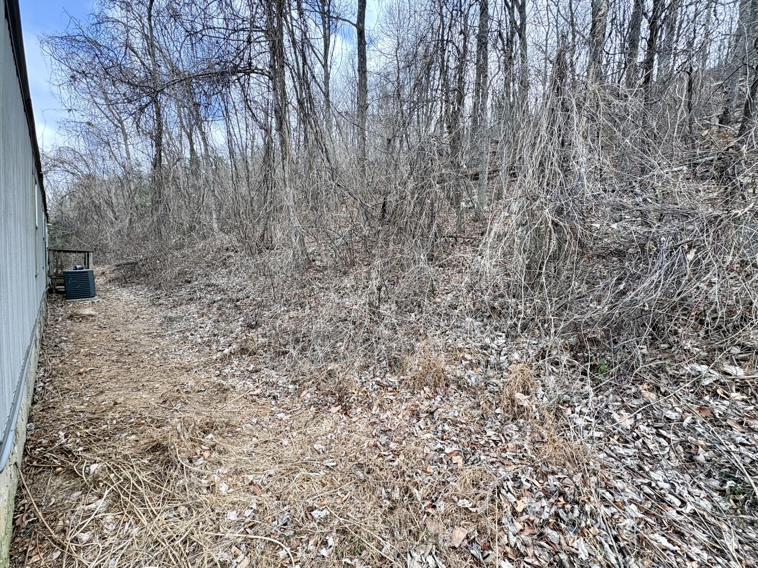 1127 Sussex Road Dayton, TN 37321 - Photo 4 of 14 1127 - Rear