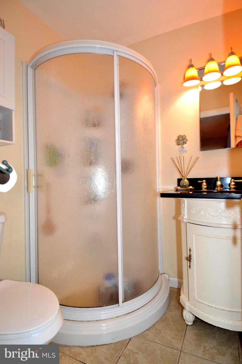 3951 Nemo Road Randallstown, MD 21133 - Photo 24 of 30 Bath (Master)