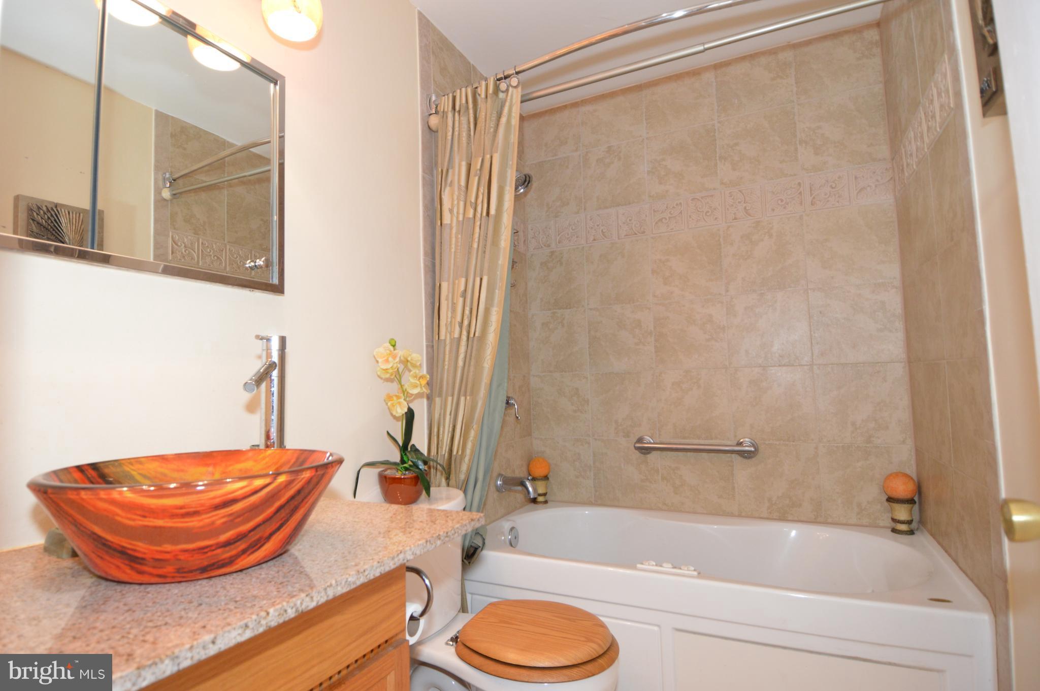 3951 Nemo Road Randallstown, MD 21133 - Photo 27 of 30 Bath