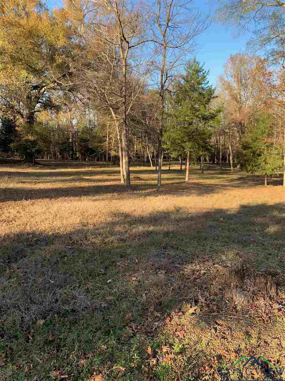 Lot 13 Timberlake Ranch Road Hallsville, TX 75650 - Photo 4 of 9 Gallery Image 4