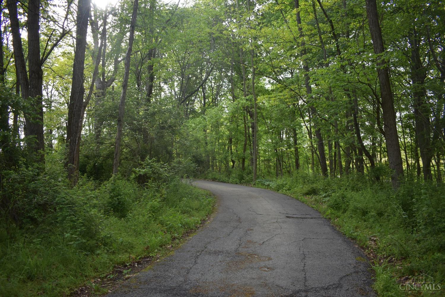 10600 Springer Road Hillsboro, OH 45133 - Photo 9 of 38 Home sits back off road to privacy and serene acres