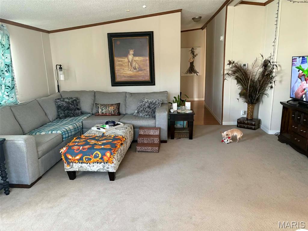 2807 Otten Road Millstadt, IL 62260 - Photo 13 of 21