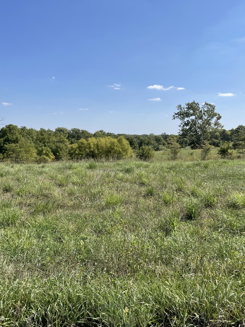 8 Armsworth Estates Road Monticello, IL 61856 - Photo 1 of 2 Gallery Image 1