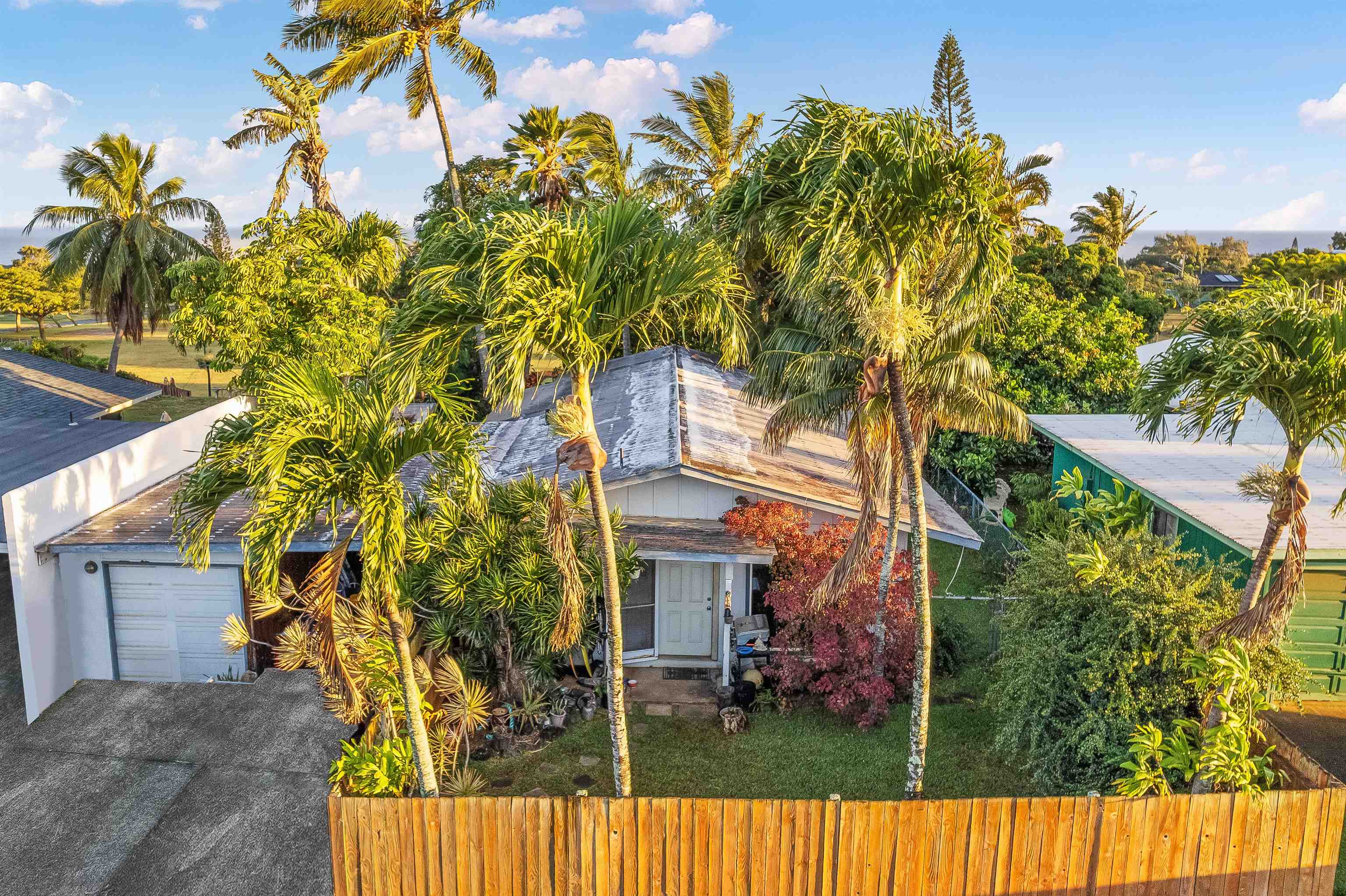 front view of a house with a tree