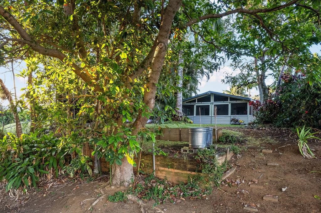 2889 West Lelehuna Place Haiku, HI 96708 - Photo 27 of 32 a front view of a house with a yard