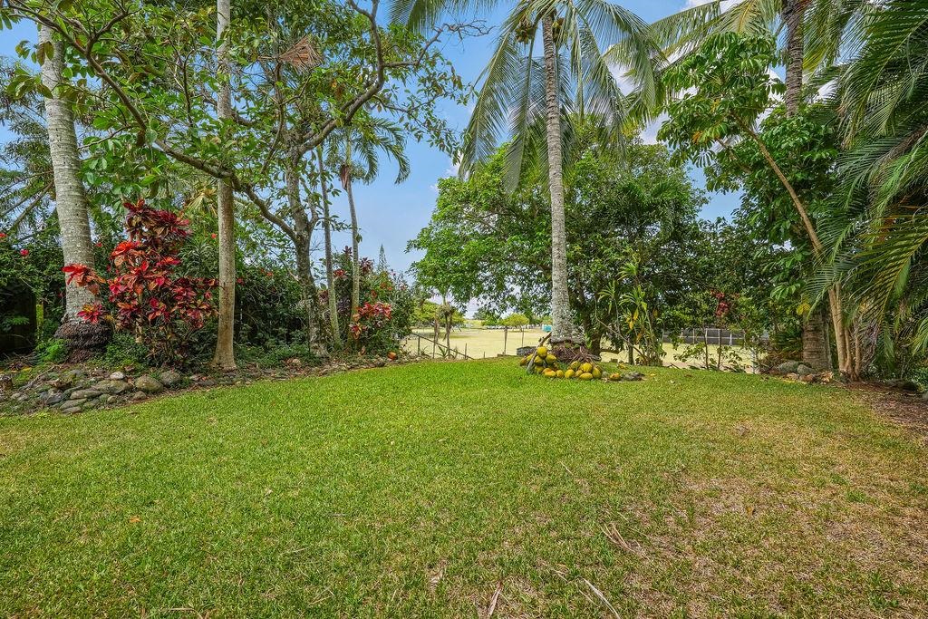 2889 West Lelehuna Place Haiku, HI 96708 - Photo 30 of 32 a view of a tree in a yard