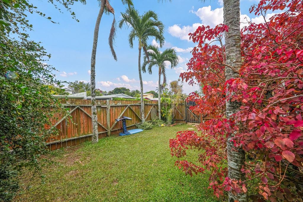 2889 West Lelehuna Place Haiku, HI 96708 - Photo 5 of 32 a view of a backyard with plants and palm trees