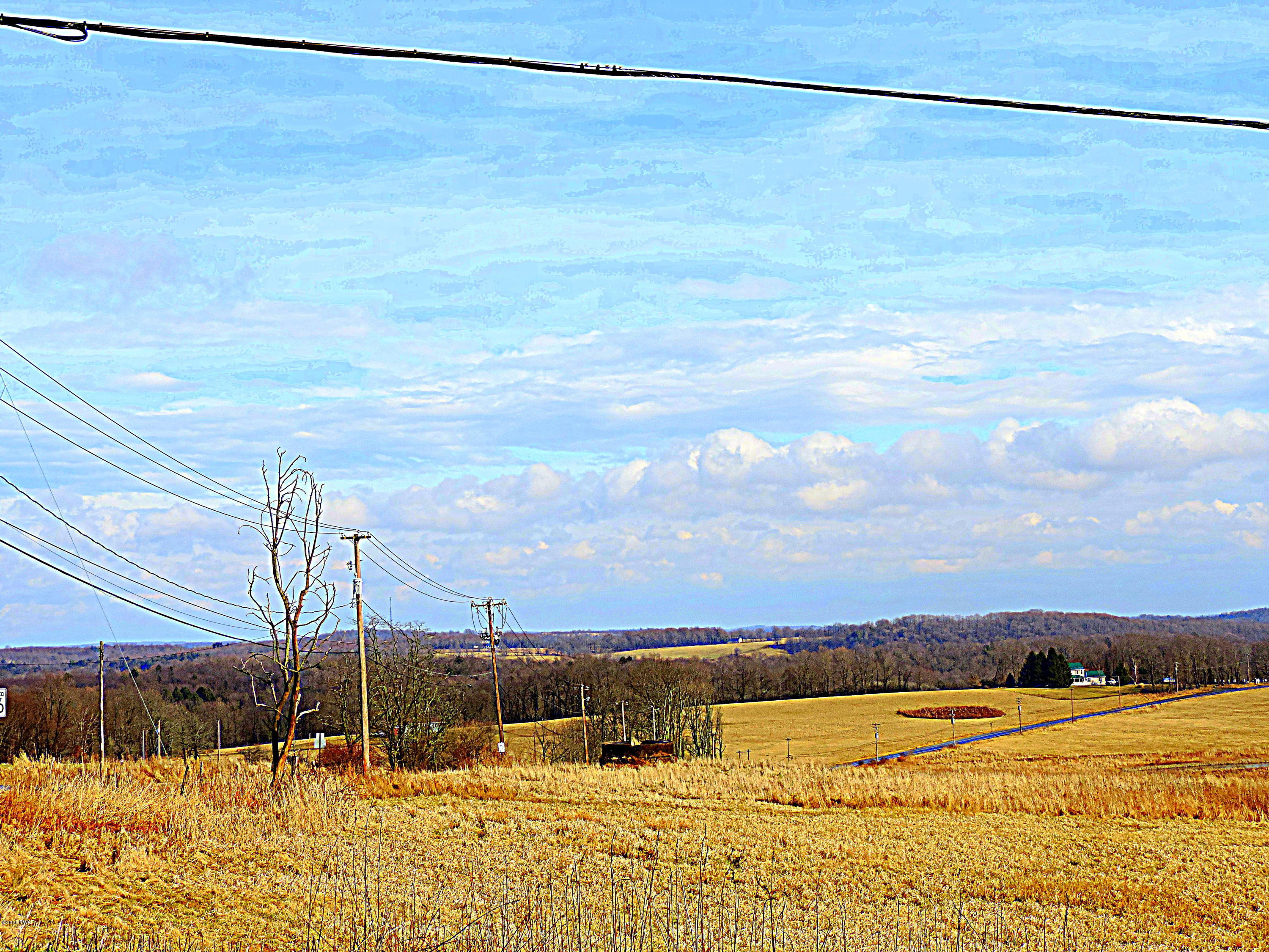 670 & Route Pleasant Mount, PA 18453 - Photo 3 of 20 20 Acs. Rte170 & 670